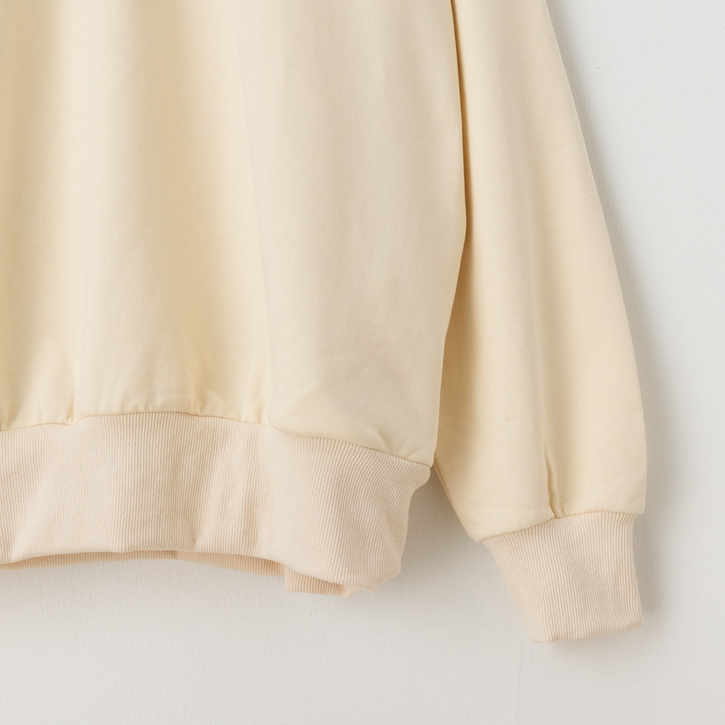 byb WYE 1/2zip Pullover